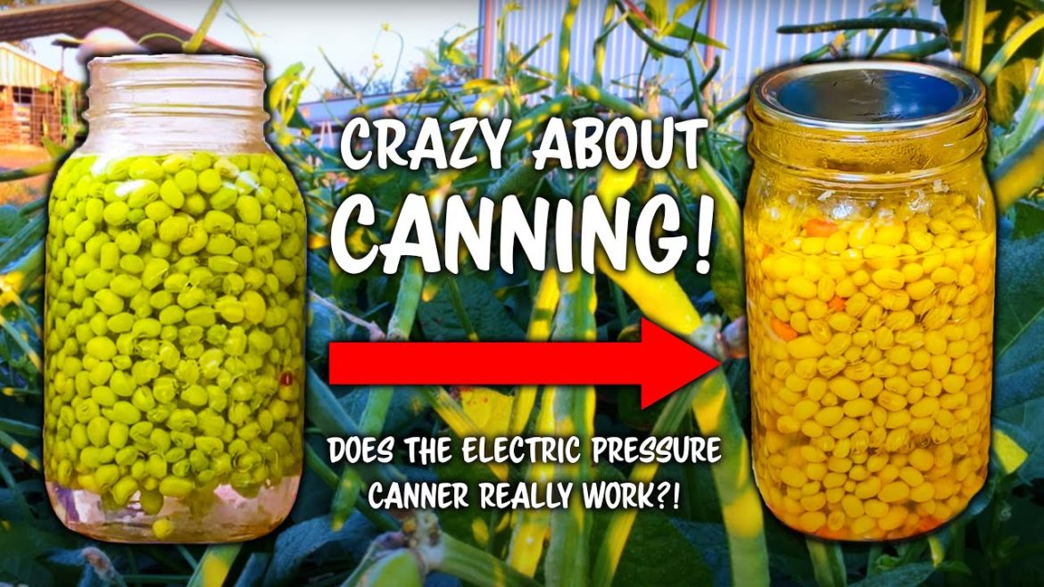Does The Electric Pressure Canner Really Work?