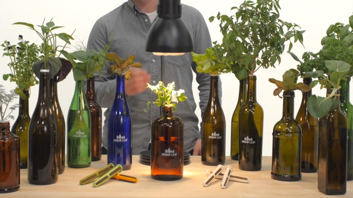A Simple But Effective Lamp Setup | Indoor Gardening Tips A Simple But Effective Lamp Setup | Indoor Gardening Tips