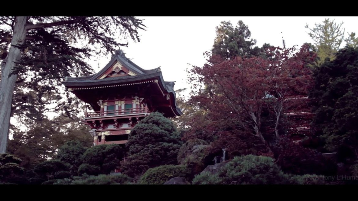 Japanese Tea Garden San Francisco Japanese Tea Garden San Francisco