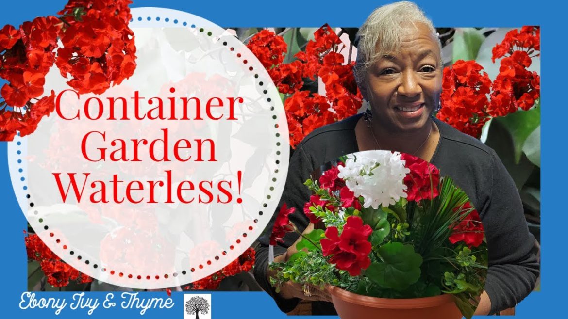 Container Garden – Waterless! Container Garden - Waterless!