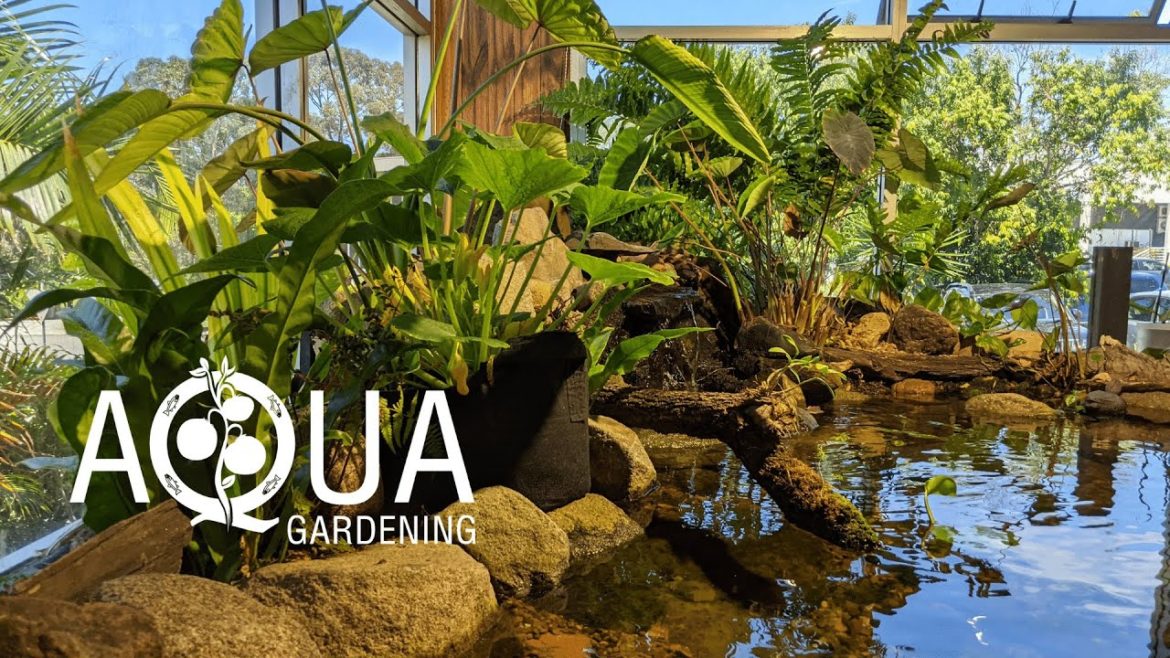 Aqua Gardening - Here to help you bring your garden dreams to life