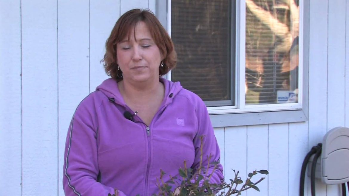 Gardening Tips : How to Repel Deer