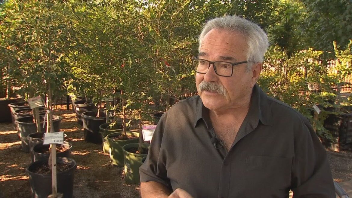 The 'Gardener Guy' Shares Advice On Planting In The Fall
