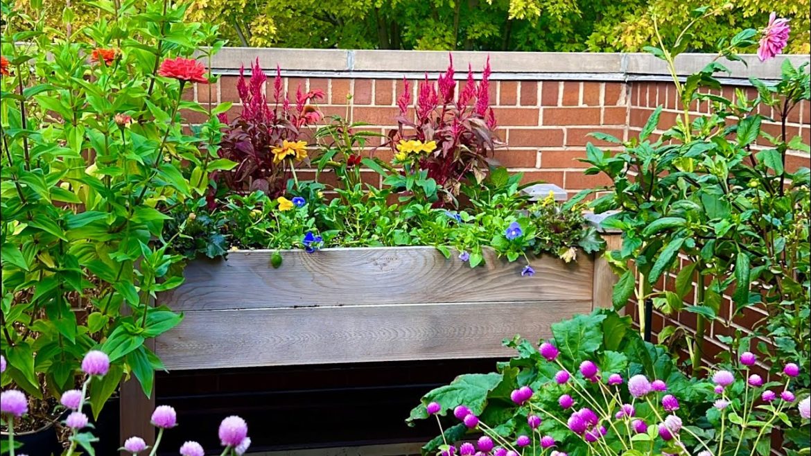 Raised Bed Fall Makeover | Container Gardening
