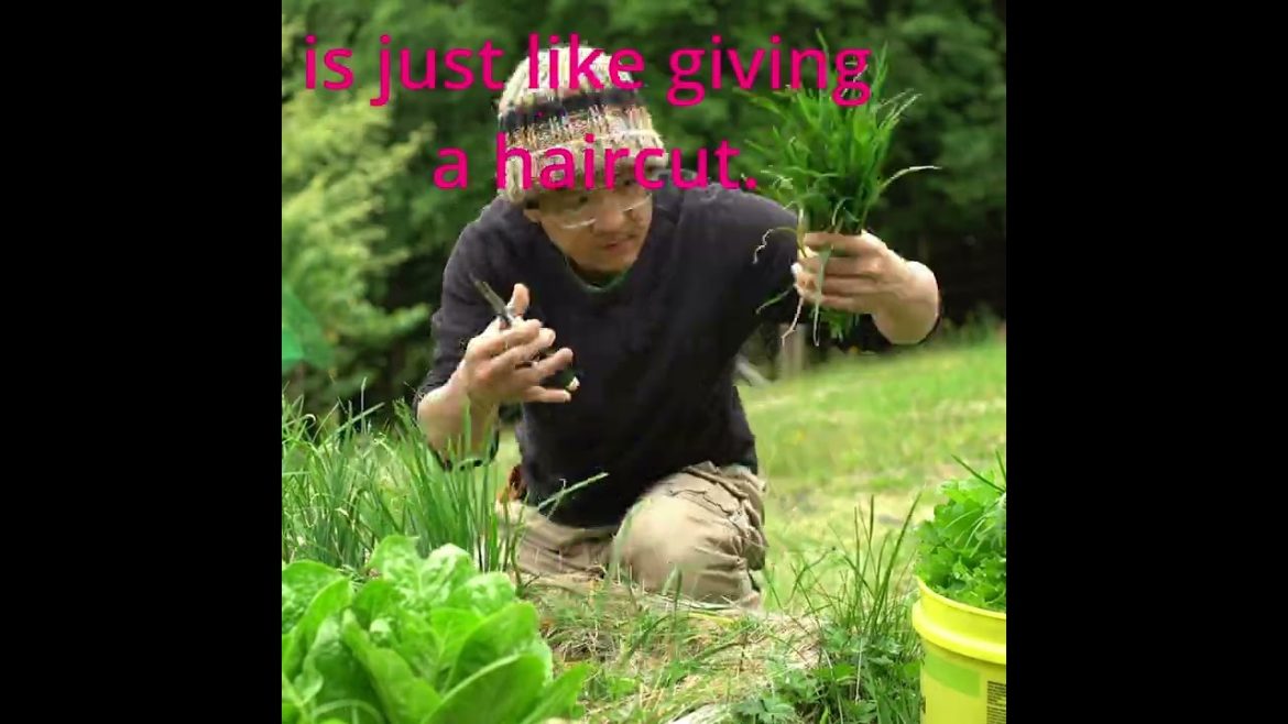 Simple living movement, gardening #shorts Simple living movement, gardening #shorts