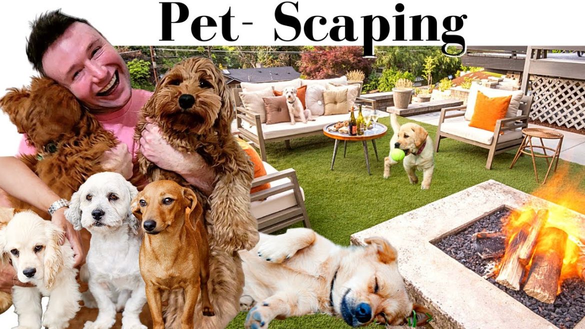 Your PET needs Backyard Living too! Your PET needs Backyard Living too!