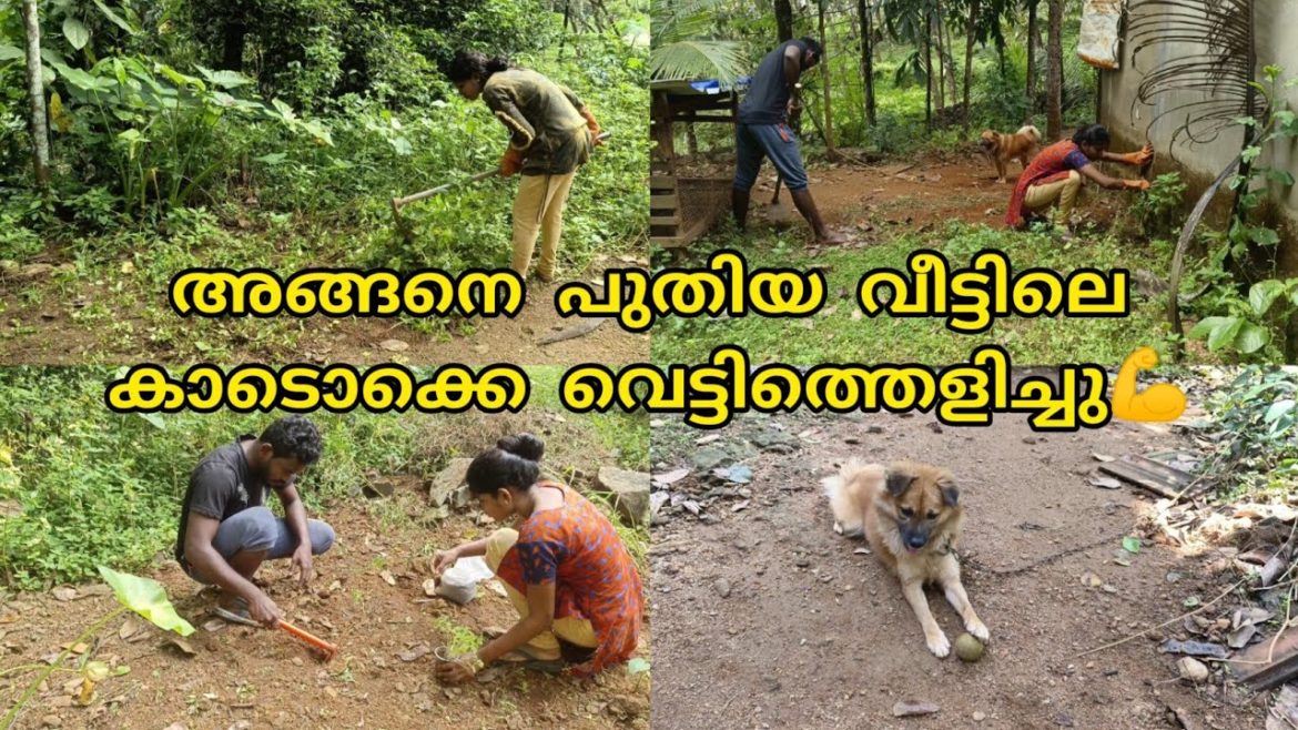 പുതിയ വാടക വീട് ഒന്ന് വൃത്തിയാക്കി എടുത്തു/Rent Home Cleaning Vlog/Vegetable Garden setting🥰