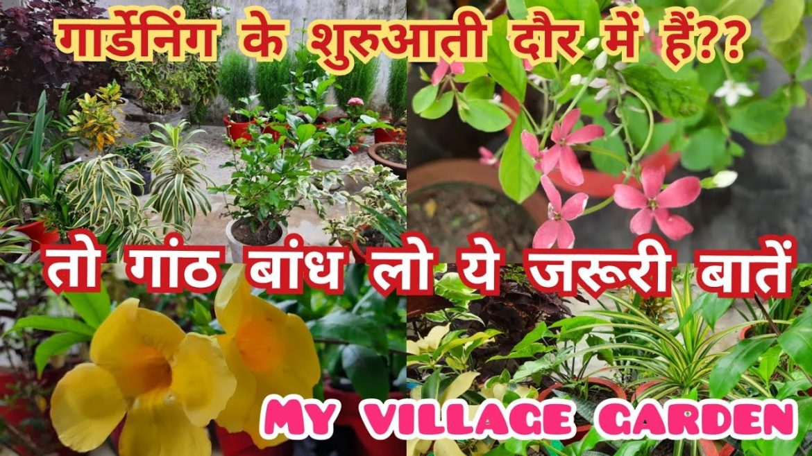 पौधों की अच्छी देखभाल के सबसे सही तरीके/ gardening tips for beginners / garden tips for beginners पौधों की अच्छी देखभाल के सबसे सही तरीके/ gardening tips for beginners / garden tips for beginners