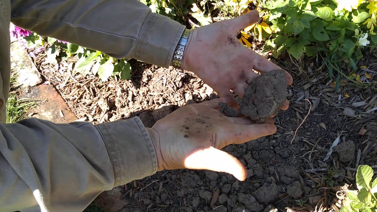 Why is my soil lumpy? Quick Tip. Trish. The Gong Gardener. All For