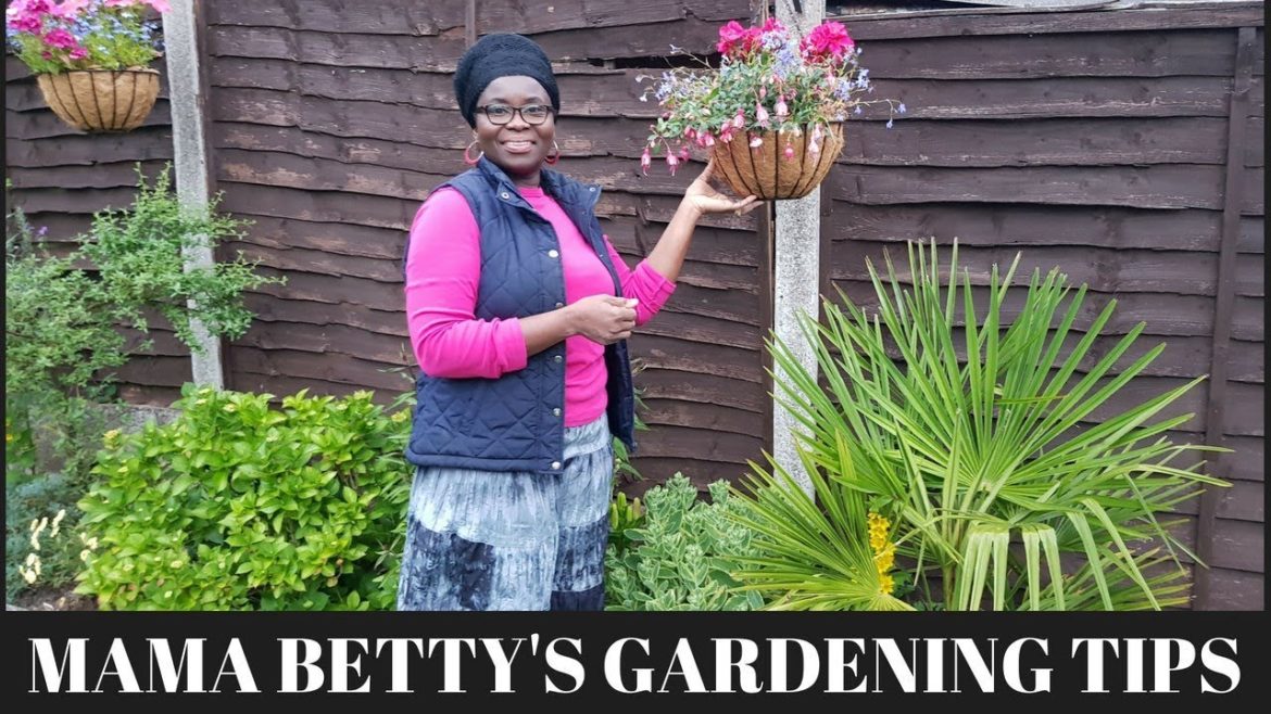 Basic Garden tips - EP3: How to make a hanging basket