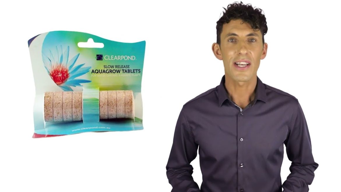 How Do I Fertilise Pond My Plants If They Aren't Blooming? How Do I Fertilise Pond My Plants If They Aren't Blooming?