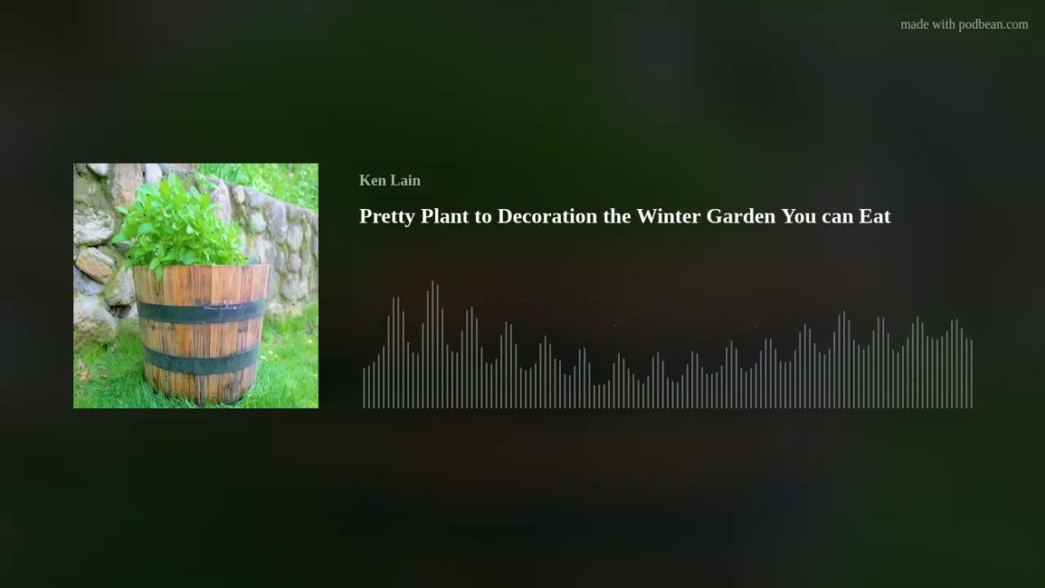 Pretty Plant to Decoration the Winter Garden You can Eat