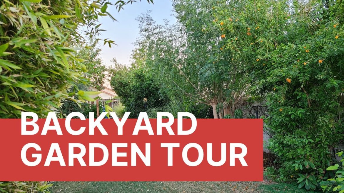 Backyard Garden Tour | Fall 2021