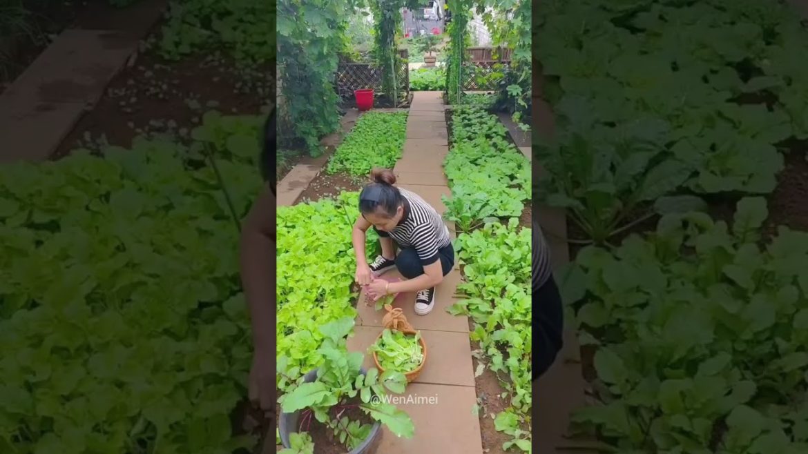 Beautiful Nature with Rural Life #shorts #naturalife #rurallife