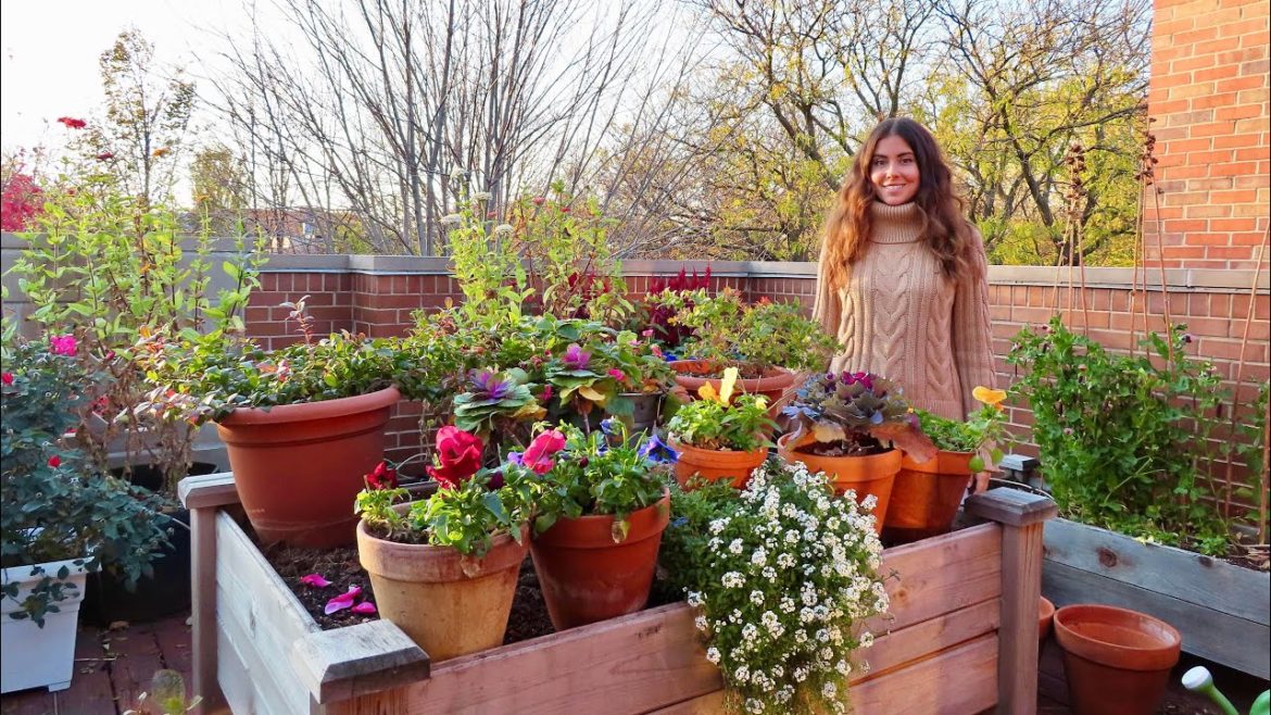 November Container Garden Tour | Rooftop Balcony Garden