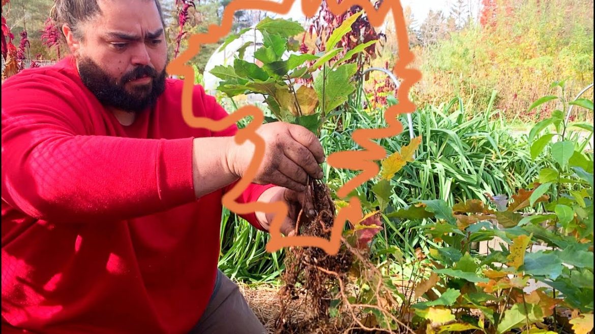 Air Prune Boxes – Fall Discussion Air Prune Boxes - Fall Discussion