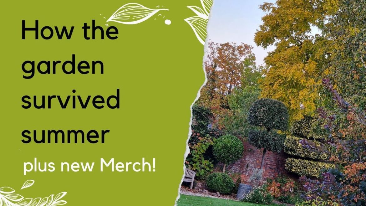 Autumn garden tour and tips – plus new t-shirts, hoodies and totes Autumn garden tour and tips - plus new t-shirts, hoodies and totes
