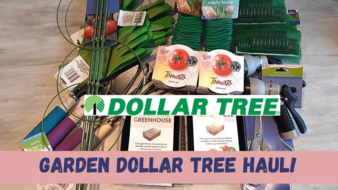Dollar Tree Gardening Haul!