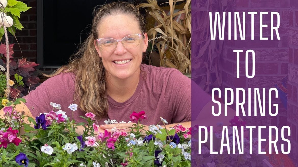Winter TO Spring Planters ❄❄❄ || Winter Annuals & Daffodils || Winter Containers || Zone 8