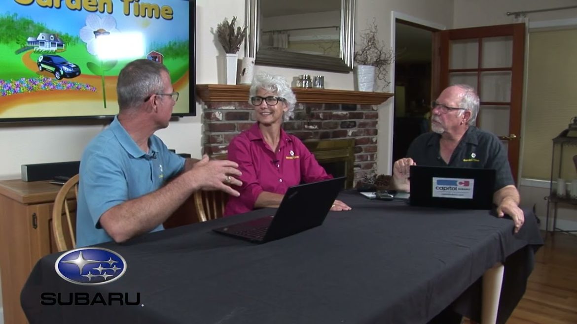 Podcast 8 - Garden Time Tour - Holland and Belgium