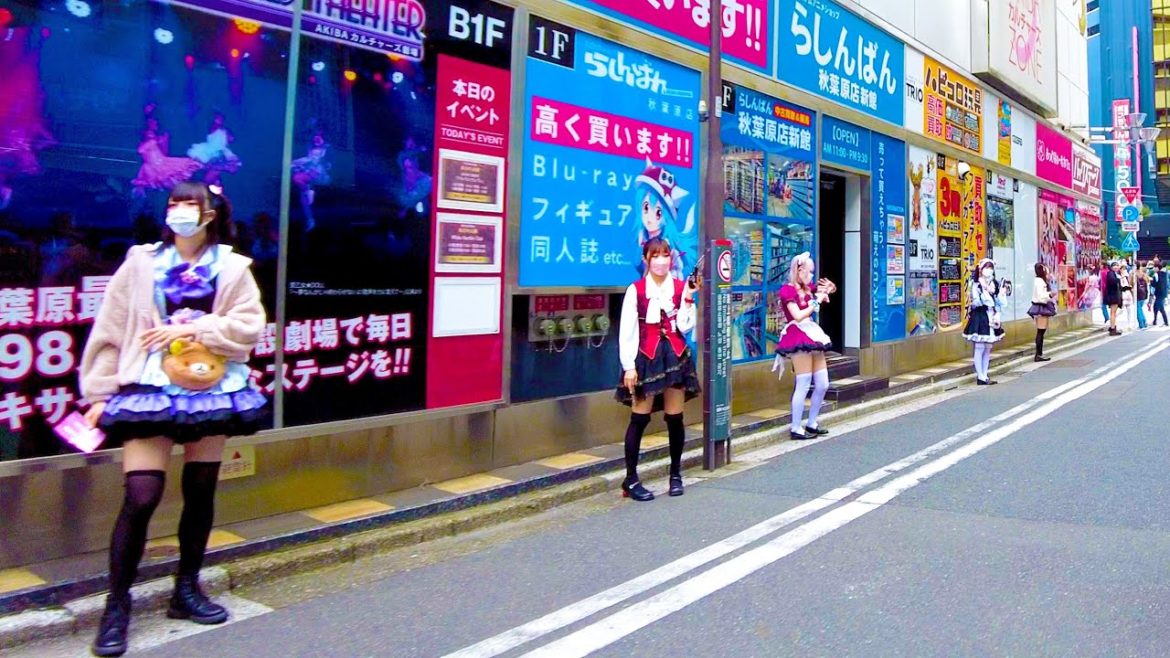 Akihabara in Tokyo is a maid cafe paradise♪💖🐶4K ASMR non-stop 1 hour 03 minutes
