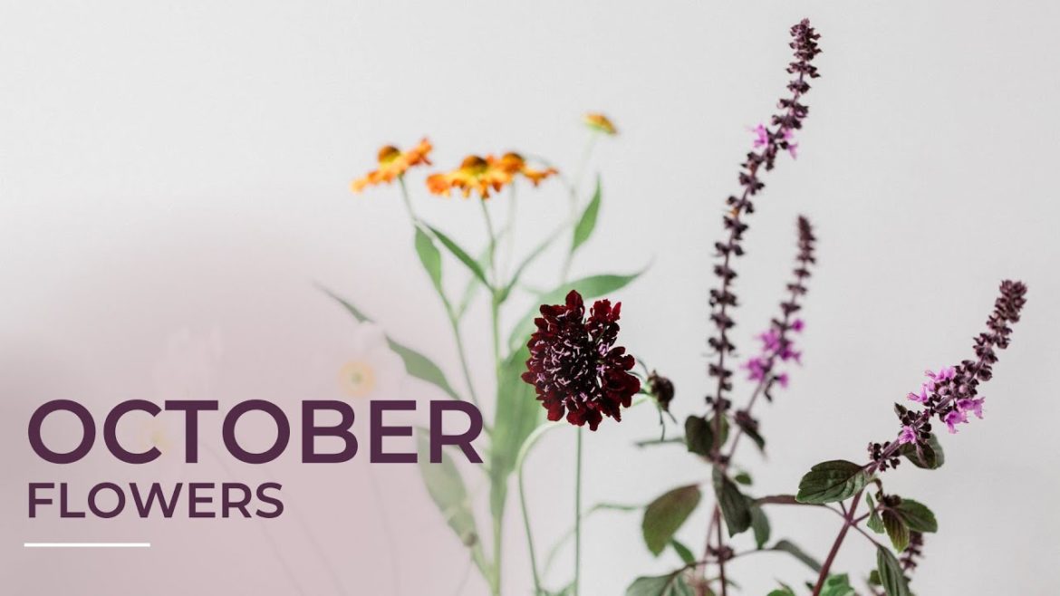 7 Flowers in Season in October 7 Flowers in Season in October