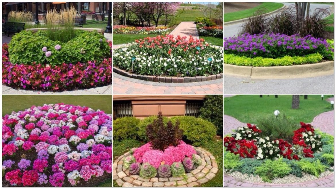 50+Best Beautiful Small Front Yard Landscaping Ideas/Cam garden