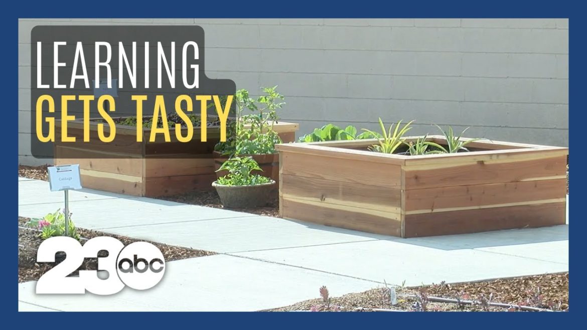 Bakersfield College opens Edible Education Garden Bakersfield College opens Edible Education Garden