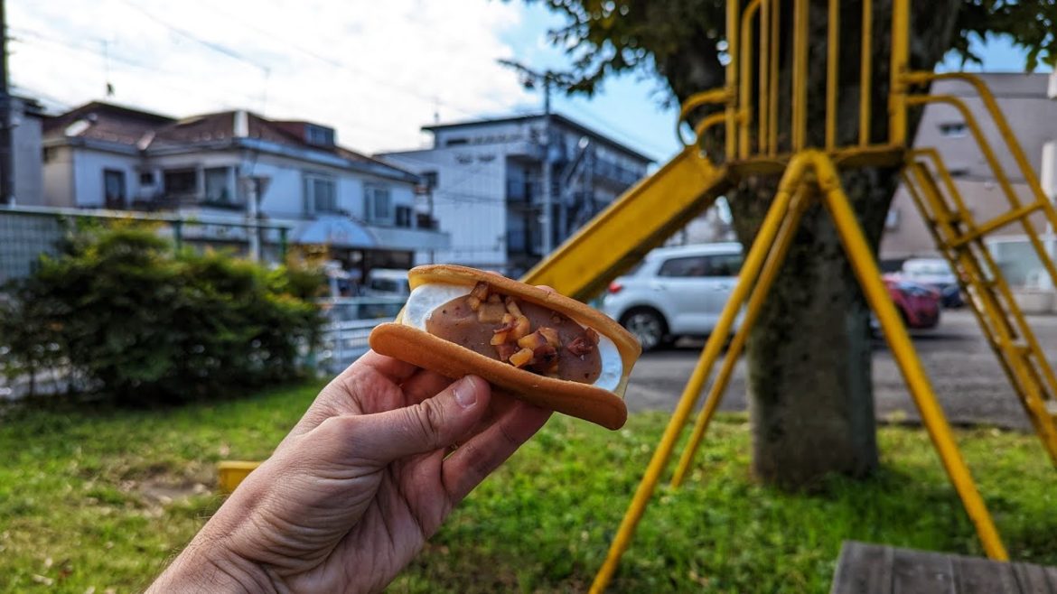 Let's get lost in Nakanoshima, Kawasaki and Enjoy a Sad Snack at a Sad Playground