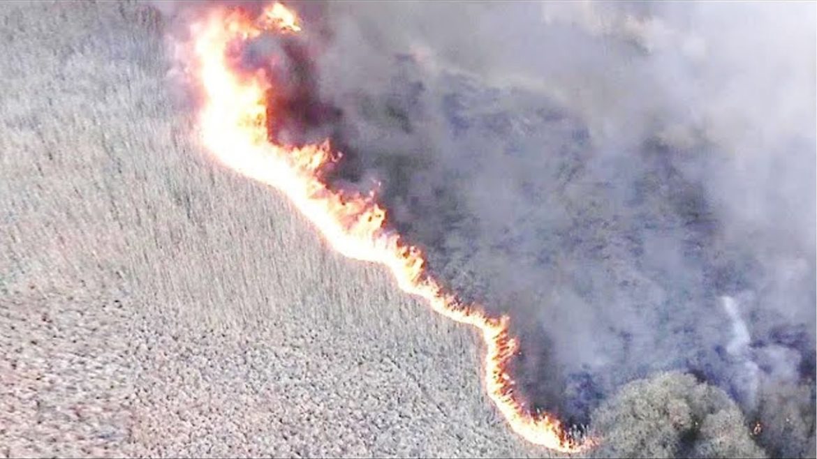 This Drone Has Made A Terrifying Discovery After Flying Over The Chernobyl's Red Forest