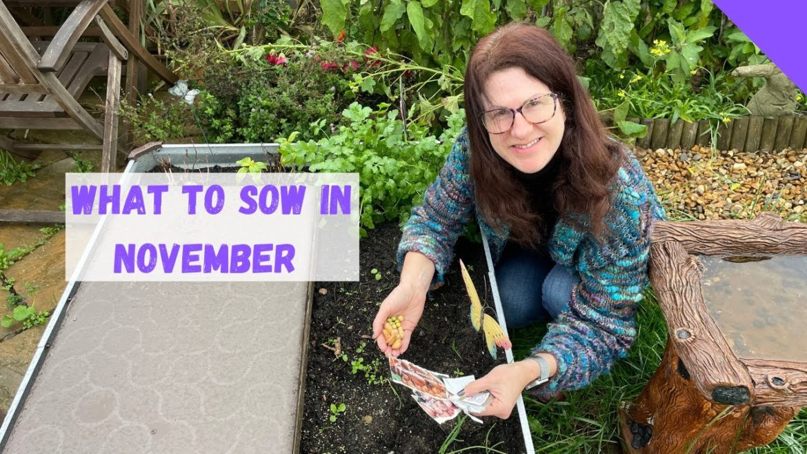 What Can I Grow In November UK - Allotment Gardening For Beginners
