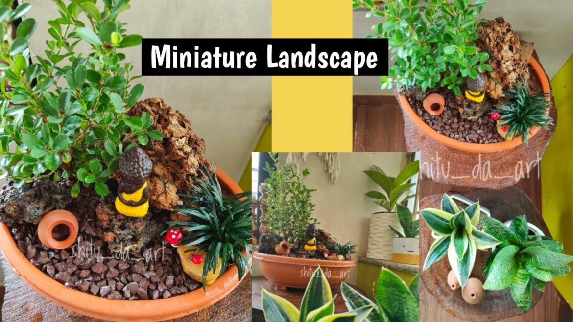 How to Make Miniature Zen Garden |Tray Garden | Zen Garden |Miniature  Landscape |DIY |Landscaping|