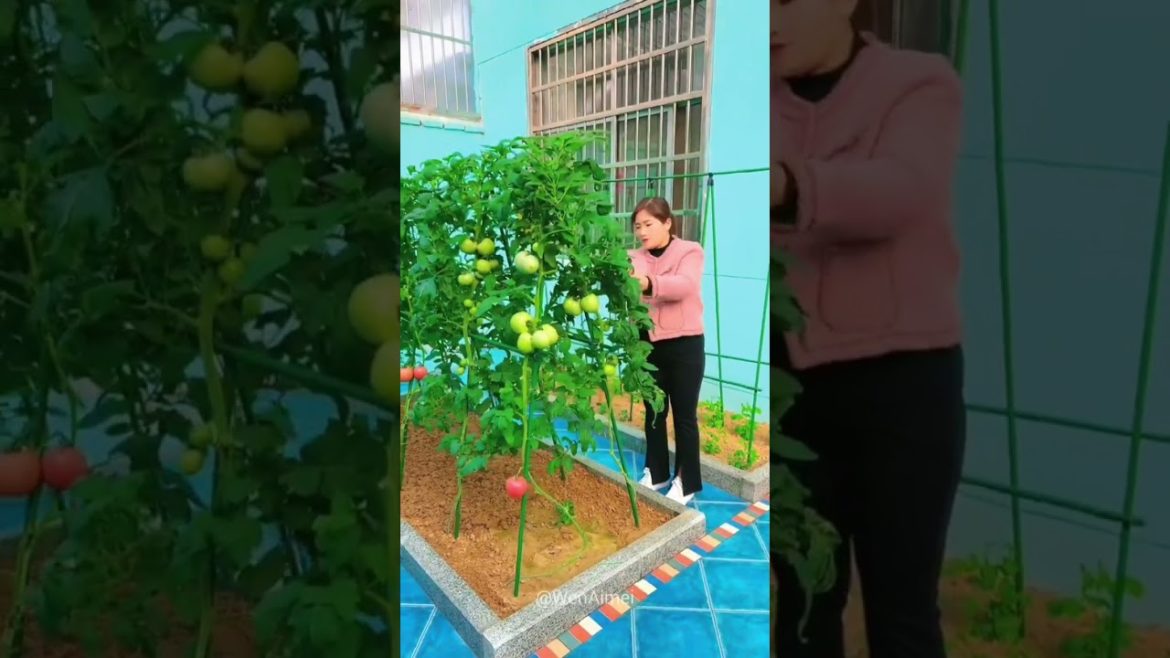 Beautiful Nature with Rural Life #shorts #naturalife #rurallife