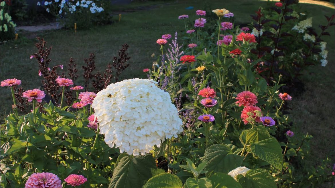 Weekly Front Yard Garden Tour 🌿🌸🌱🌼 learned a trick from @guidinggreenthumbs 4k!