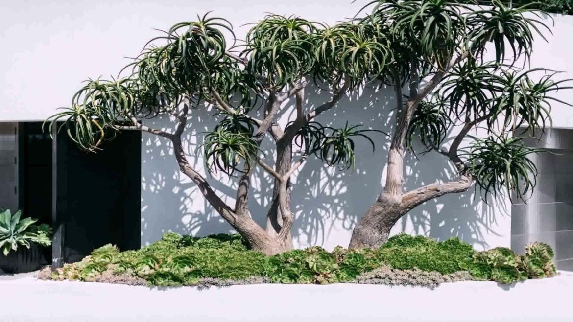 Backyard Landscaping Ideas With Stone