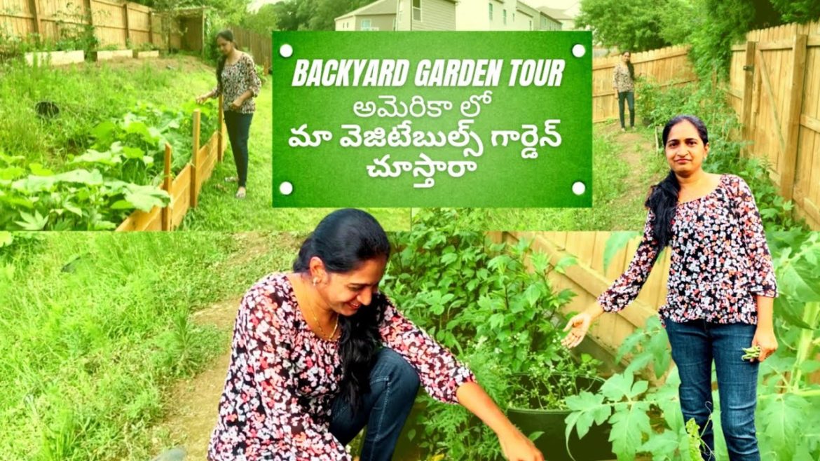 Our Backyard tour | NRI Home Tour | Backyard garden in USA | Telugu vlogs from usa