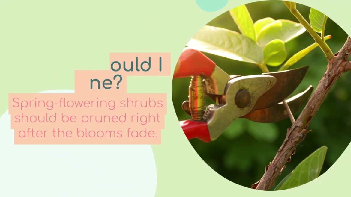 Gardening Tips Gardening Tips