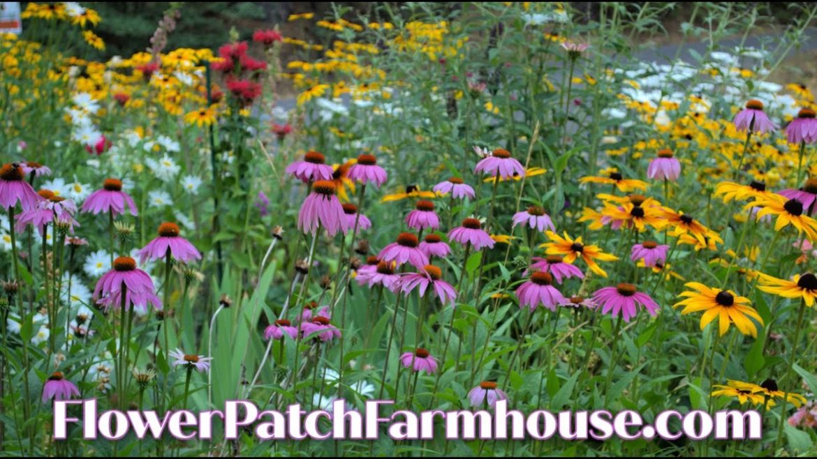 October 1 Secret Cottage Garden Tour – What has Changed? October 1 Secret Cottage Garden Tour - What has Changed?