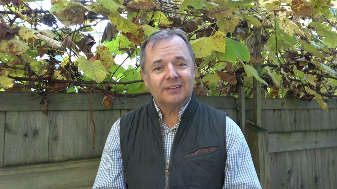 How to start gardening and stay gardening Ep. 108