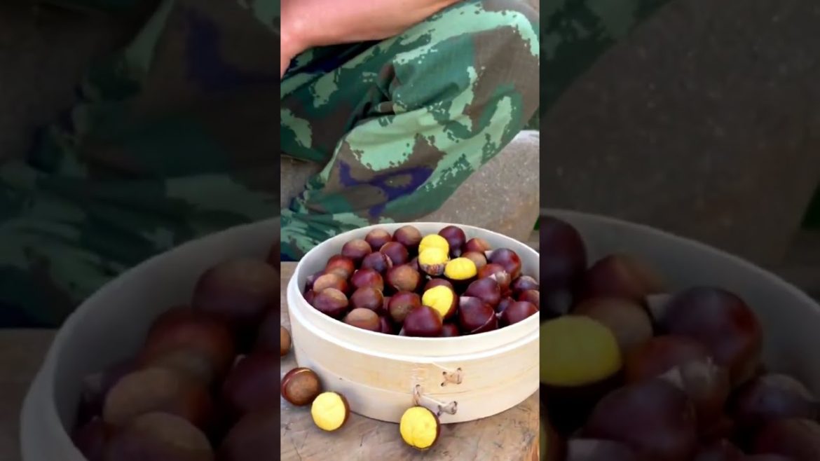 Tips for big Chestnuts #harvest #food