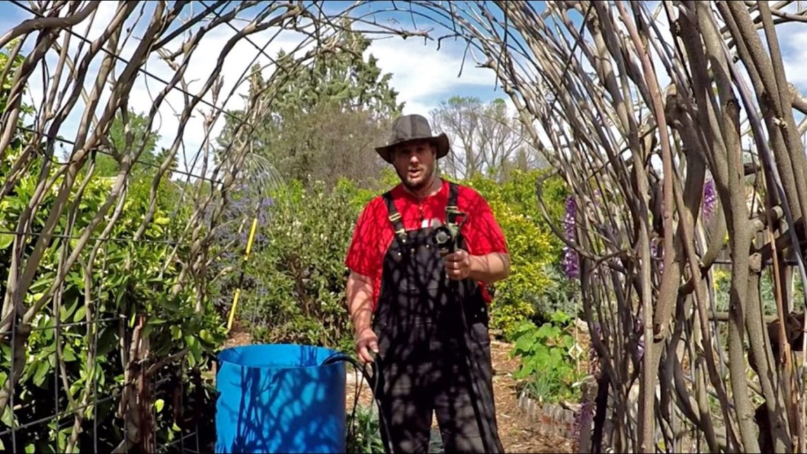 This Is The Best Gardening Secret Every Gardener Needs To Know About! This Is The Best Gardening Secret Every Gardener Needs To Know About!