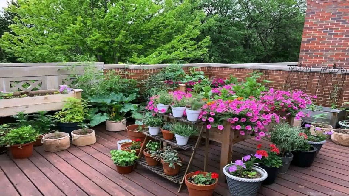 Patio Garden Ideas For Small Spaces