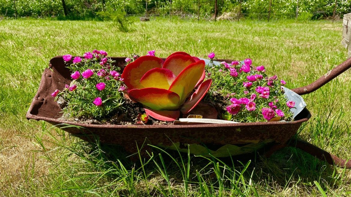 Gardening Ideas / Tips That Will Not Cost You A Cent