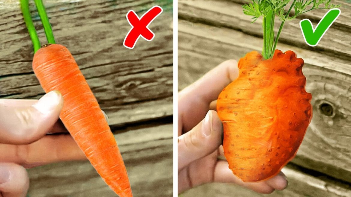 GENIUS PLANTING HACKS || GROW YOUR OWN GARDEN AT HOME! GENIUS PLANTING HACKS || GROW YOUR OWN GARDEN AT HOME!