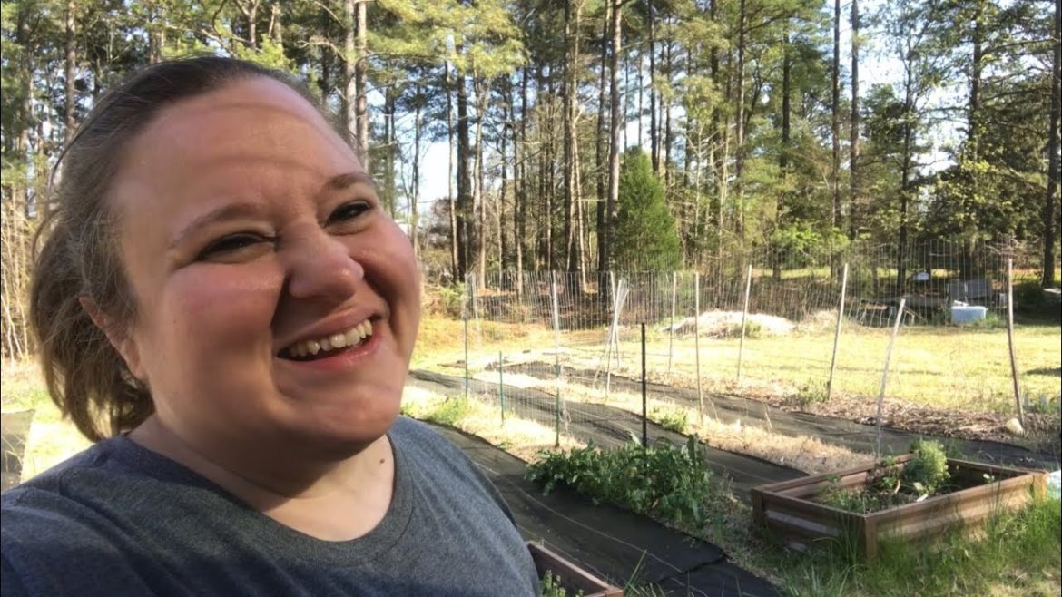 Urban Gardener Raised Bed From TSC Urban Gardener Raised Bed From TSC