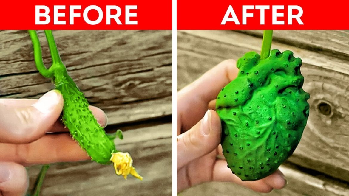 Genius Gardening Hacks You Wish You Knew Before Genius Gardening Hacks You Wish You Knew Before