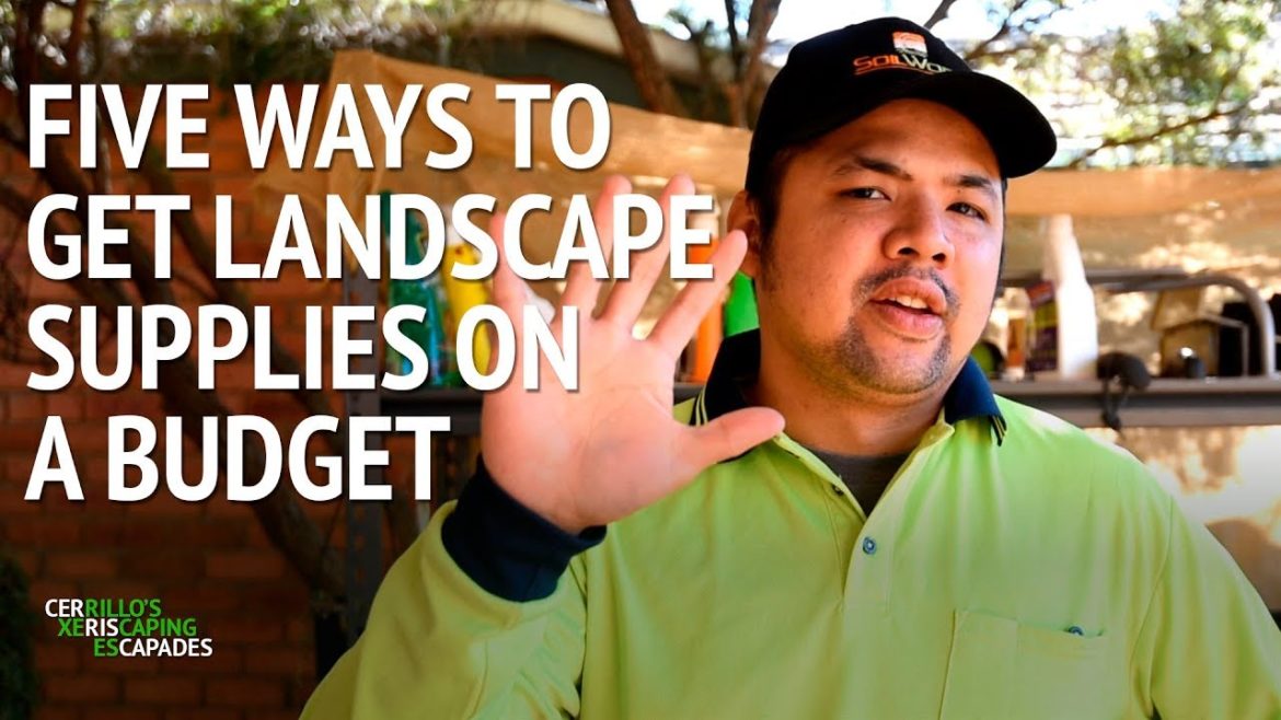 5 ways to get landscaping supplies on a budget