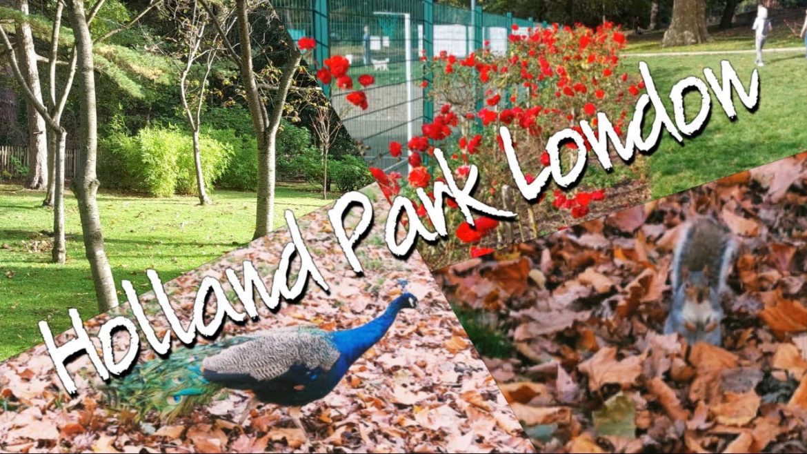 Best Parks In London Holland Park London | 4K | Relaxing Piano And Guitar Music