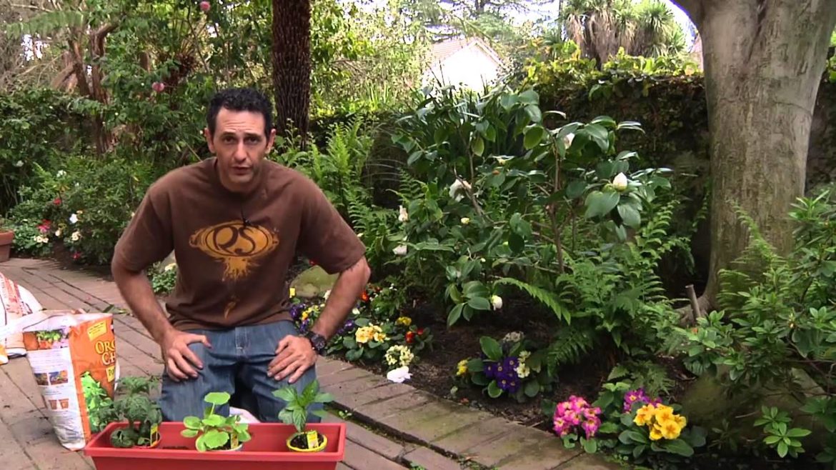 Early Spring Vegetable Gardening Early Spring Vegetable Gardening
