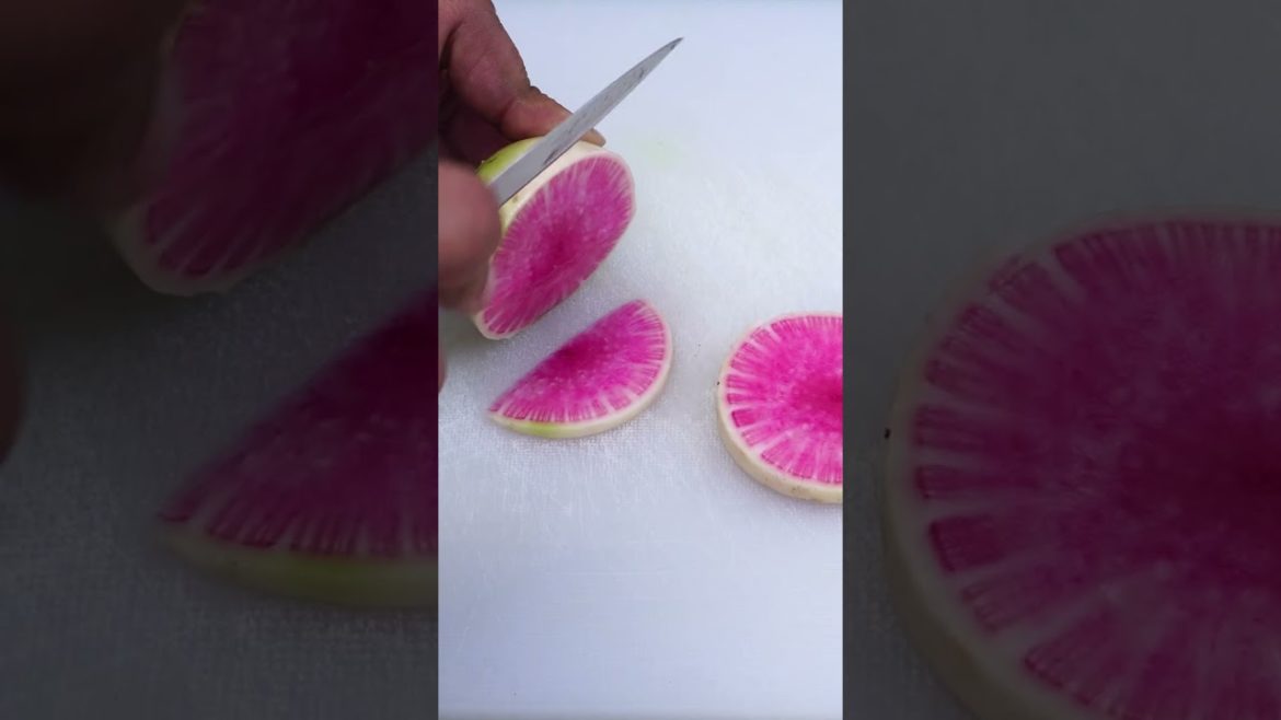 California Gardening: Gardening: Growing Watermelon Radish #shorts Gardening: Growing Watermelon Radish #shorts